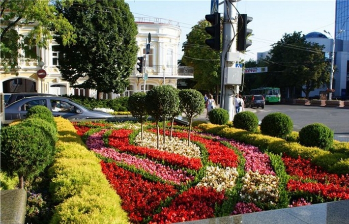 Где Можно Купить Цветы В Ставрополе