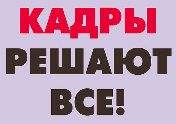 Отделении кадров. Кадры решают все. Отдел кадров приколы. Отдел кадров картинки. Кадры решают все смешные картинки.